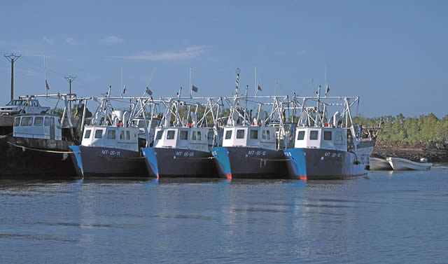 Seafood production